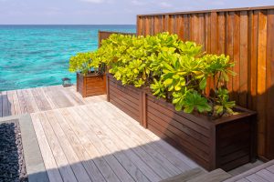 The Ultimate Guide to Choosing the Right Option of  Outdoor Timber Decking UAE